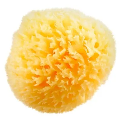 Baby Buddy Natural Wool Sea Sponge Baby Bath Sponge