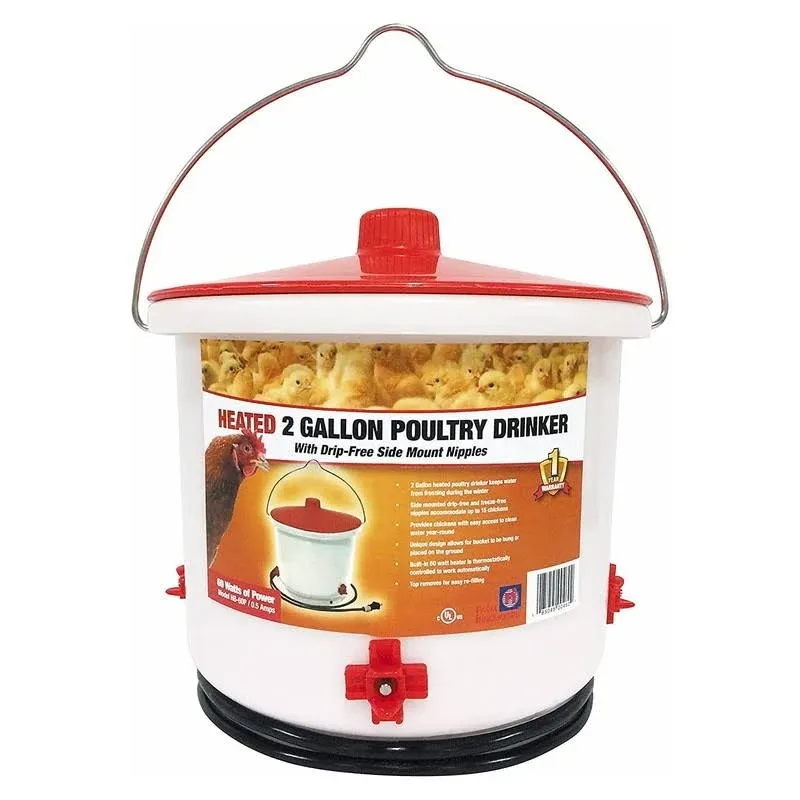 Farm Innovators Hb-60p Heated 2 Gallon Poultry Drinker