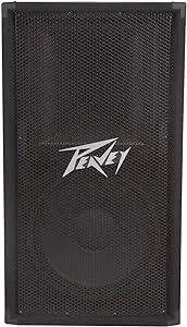 Peavey PV 112 2-Way Speaker