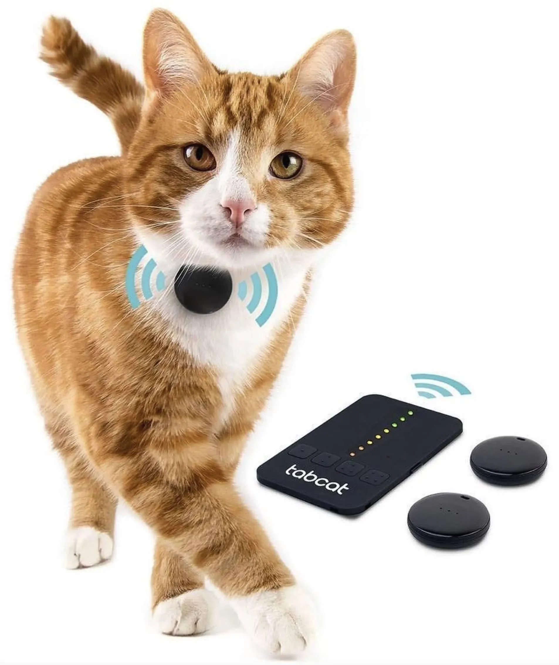 Tabcat V2 Cat & Kitten Tracker - More Accurate Than GPS - No Monthly Fee or Subscription - Includes 4 Homing Tags - Small & Lightweight Tags Perfect