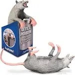 Archie McPhee Office Possum