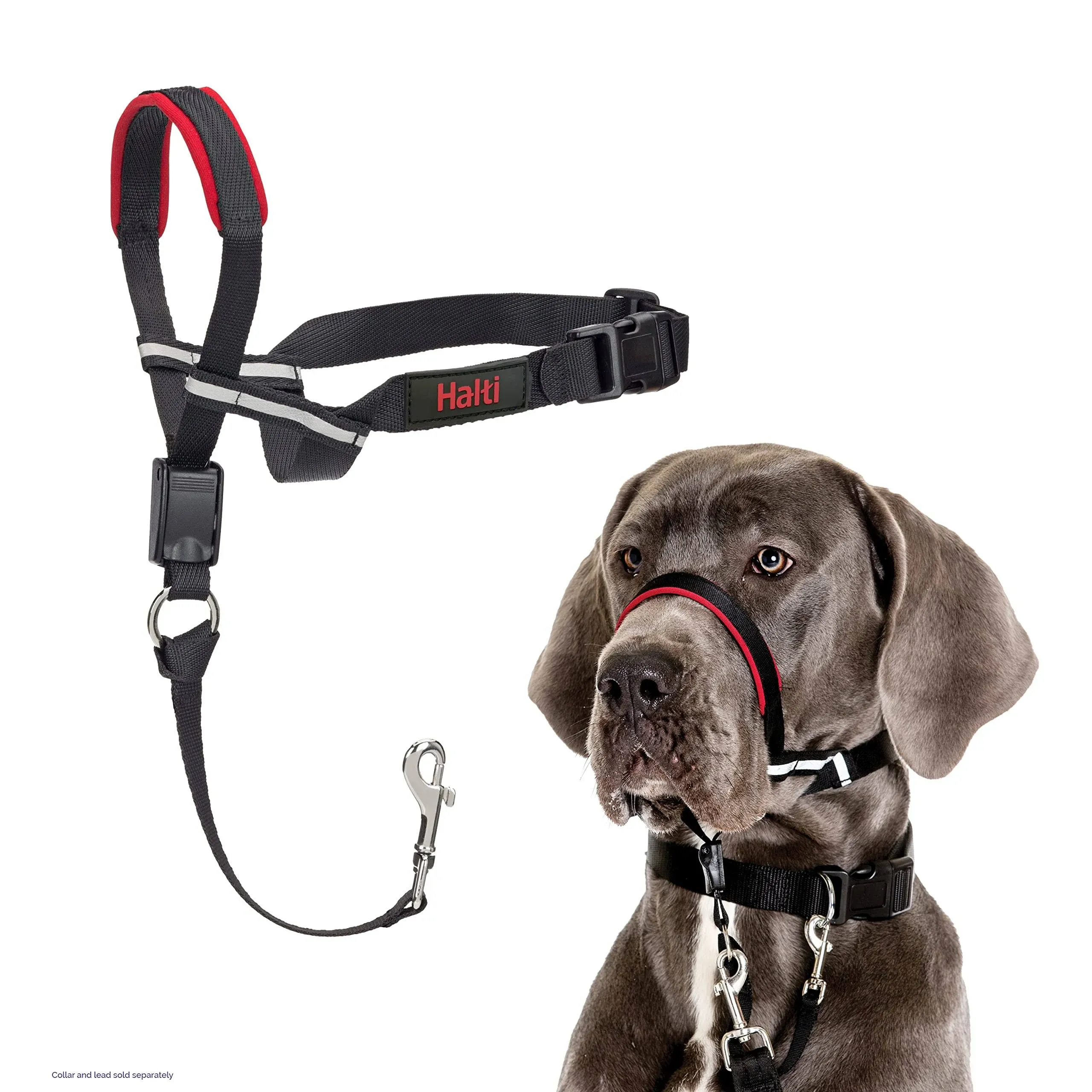 HALTI Optifit Headcollar - to Stop Your Dog Pulling on the Leash. Adjustable, Re