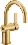 Moen Cia One-Handle Bathroom Faucet 6221EWBG