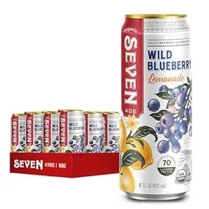 SevenTeas Organic Wild Blueberry Lemonade, 16 OZ (Pack of 12 Cans)