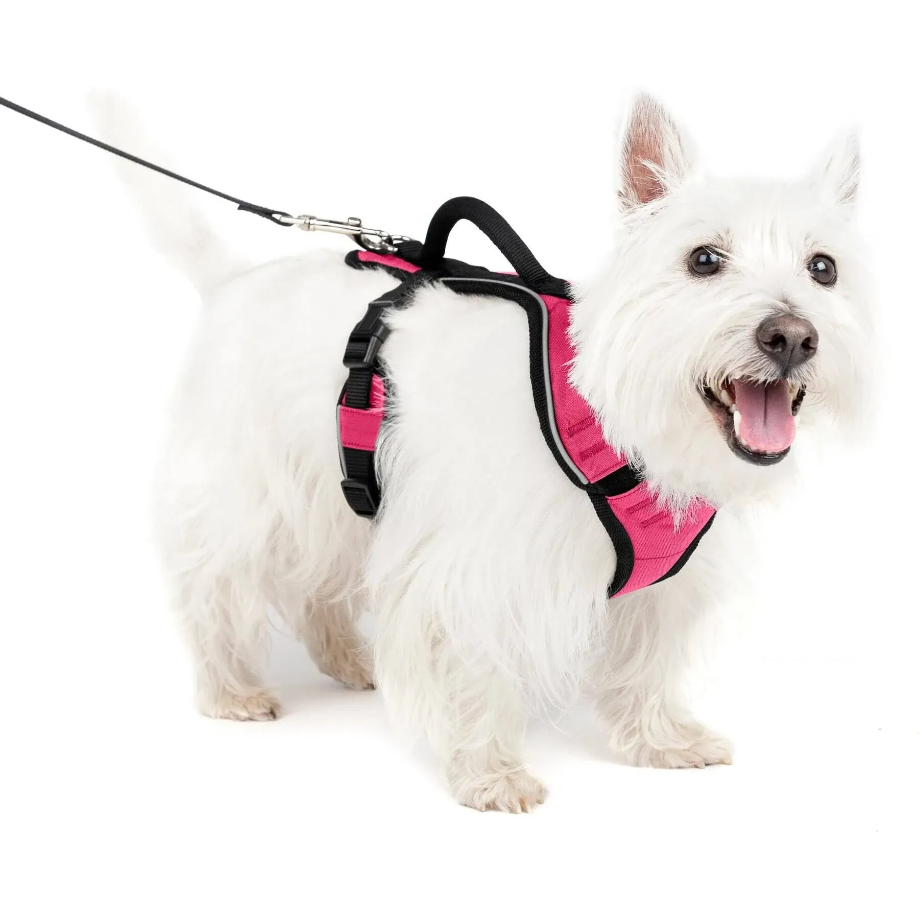 PetSafe EasySport Dog Harness - Pink - ON SALE