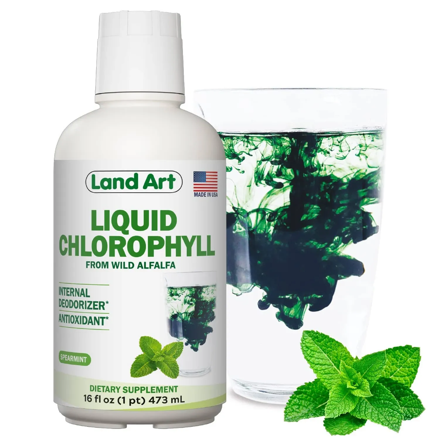 Land Art Liquid Chlorophyll Mint Flavored – Cold Extracted from Wild Non-GMO ...