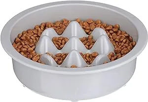 Neater Pet Brands - The Niner Slow Feed Bowl - Raised Peaks Slow Down Pets Eating