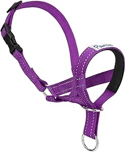 Pawaboo Dog Muzzle, Head Halter Collar for Dog, Pet Dog Nylon Reflective Adjustable Loop Anti-Biting Barking Control Easy Fit Dog Stops Dog Pulling Head Leash, Medium Size, Purple