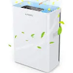 Air Purifiers for Home Large Room