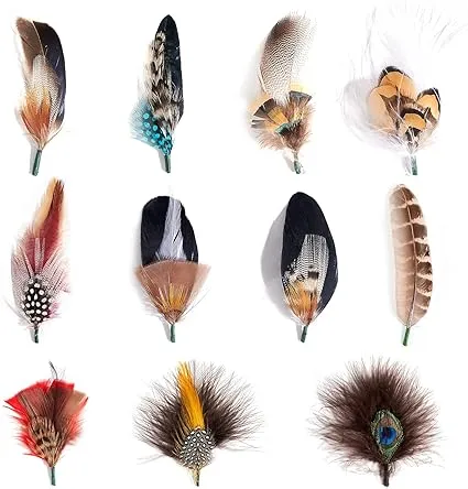 MIX BROWN Hat Feathers Assorted Natural Feather Packs Accessories for Fedora   