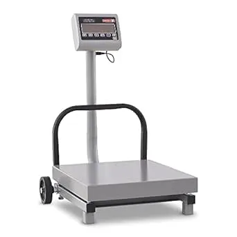 TORREY FS500/1000 Digital Receiving Scale, Rechargeable Battery, Robust Steel Construction, Toggles between kg and pounds, 500 kg/1000 lb, Gray