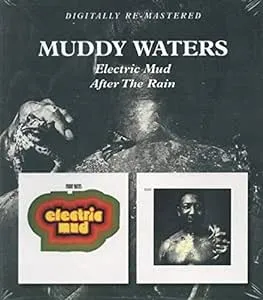 Electric Mud / After the Rain