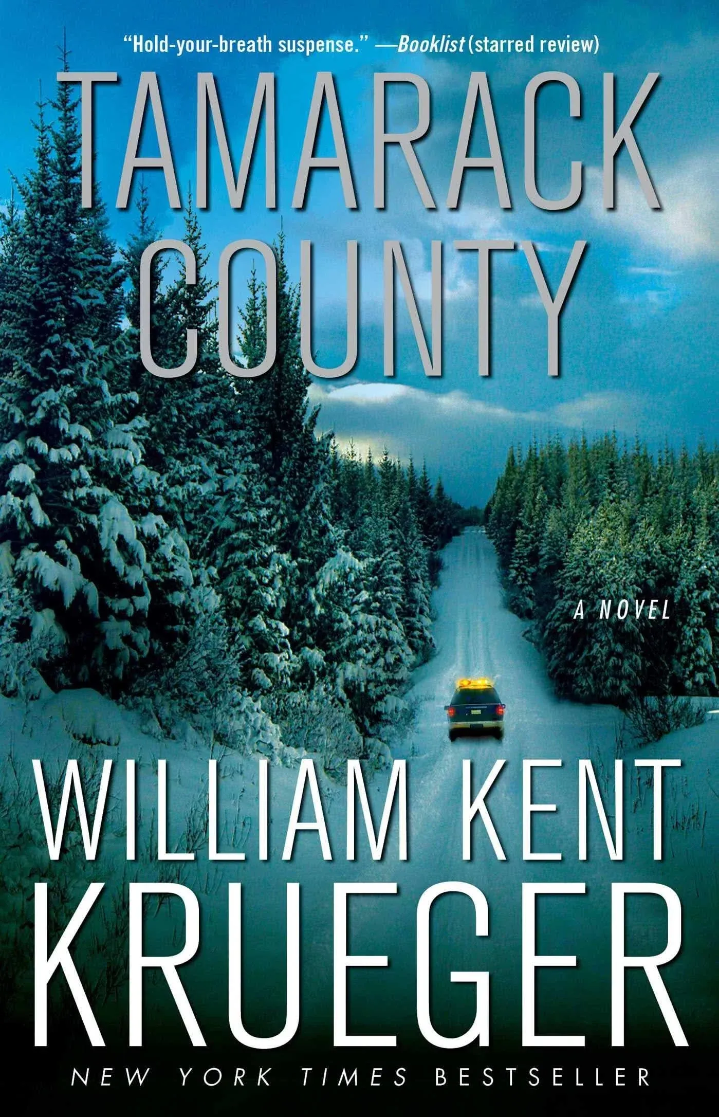 Tamarack County: A Novel [Book]