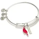 Alex and Ani Bird Blueprint Cardinal Charm Bangle Bracelet in Shiny Silver