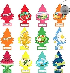 Little Trees Fruit Assorted Variety Pack of 12 Fresheners - 12 Different Fruit Scents of Air Fresheners - Car Air Freshener Home Air Freshner Scent