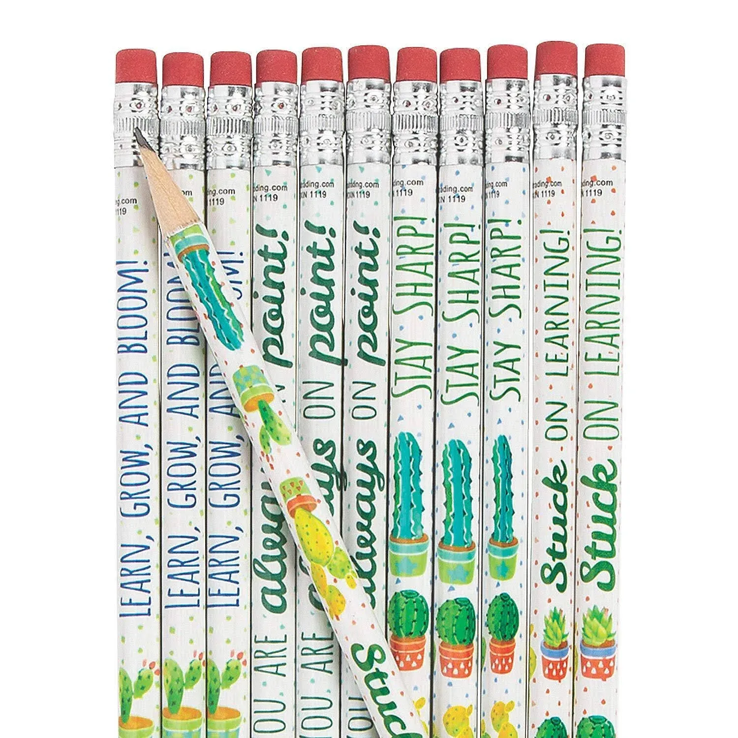 Fun Express Cactus and Succulents Pencils