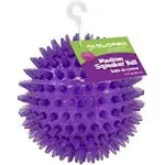 Gnawsome Medium Squeaker Ball Dog Toy