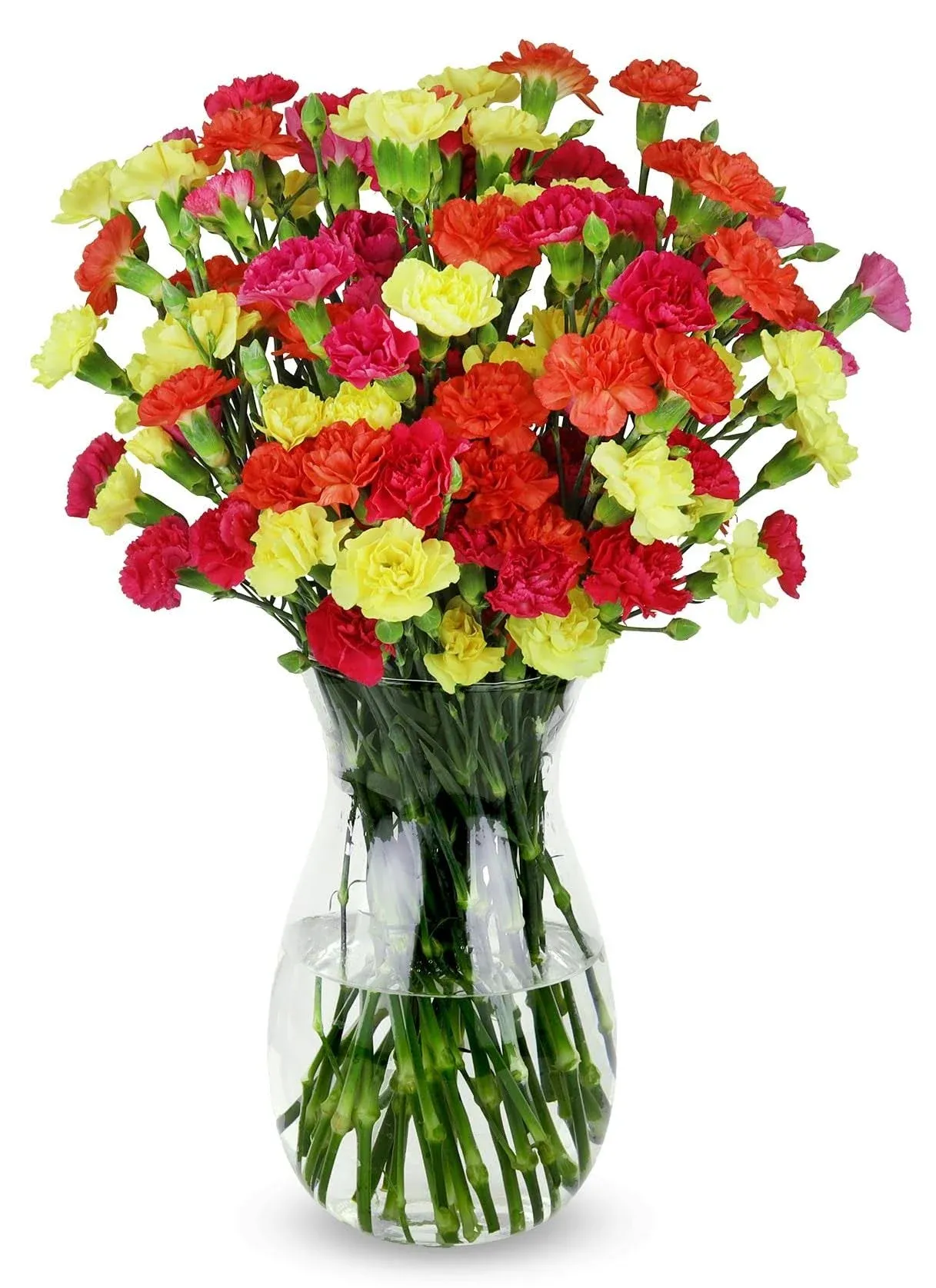 Benchmark Bouquets, 20 Stem Bright Mini Carnations, Glass Vase Included, Gift Fresh Flowers for Christmas, Holiday, Birthday, Anniversary, Sympathy, Congratulations, Thank You