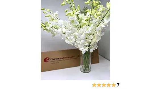 Premium Cut White Orchids (20 stems with Vase) (Support Small Business)