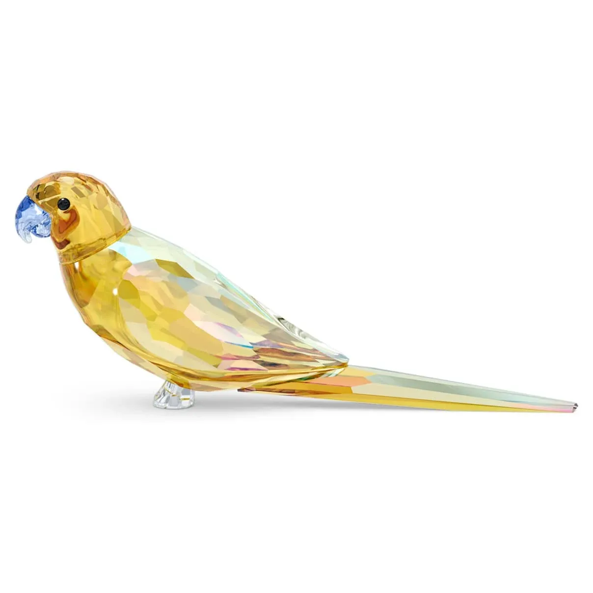 Swarovski Jungle Beats Yellow Parakeet Lechee