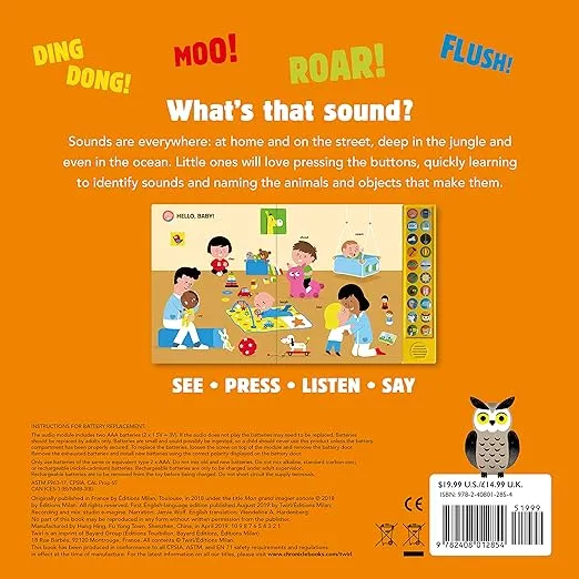 My Big Book of Sounds: More Than 100 Sounds