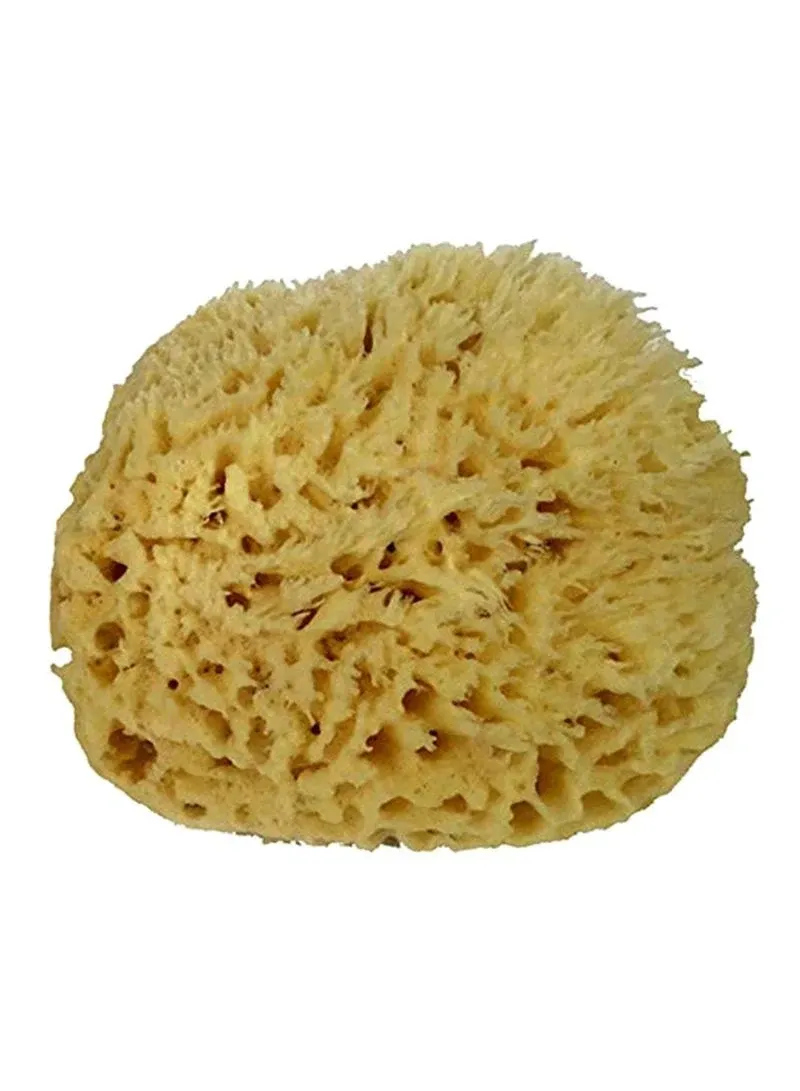 Natural Sea Wool Sponge 6-7" Natural Renewable Resource