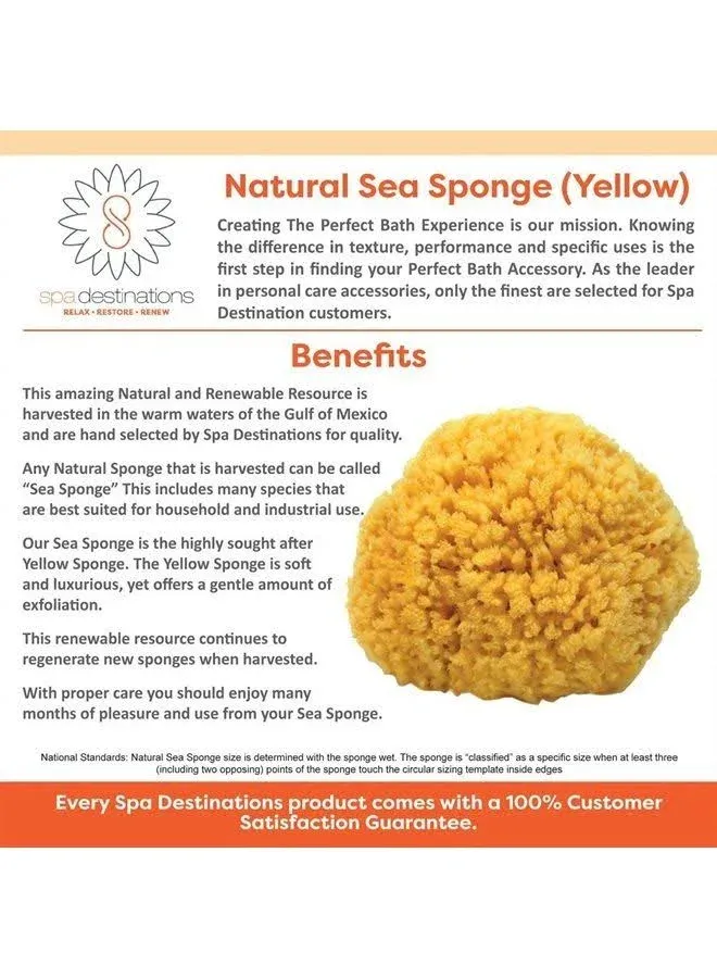 Natural Sea Sponge Small 4-5" by Spa Destinations Creating The Perfect Bath and Shower Experience Amazing Natural Renewable Resource!