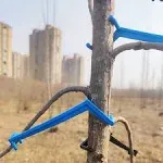 Apple Tree Limb Spreaders For Fruit Tree, Blue, Cunguv 50Pcs. Tree Spreaders