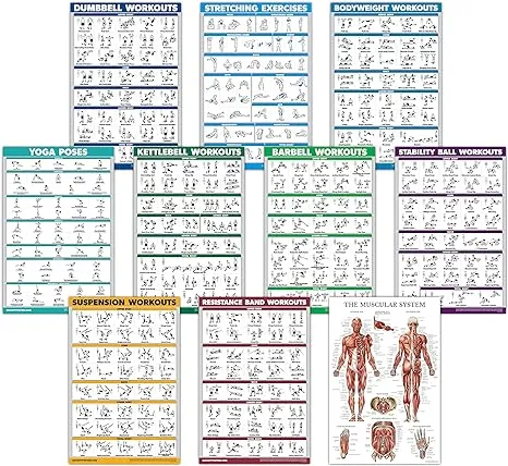 Palace Learning 10 Pack - Exercise Workout Poster Set - Dumbbell, Suspension, Kettlebell, Resistance Bands, Stretching, Bodyweight, Barbell, Yoga