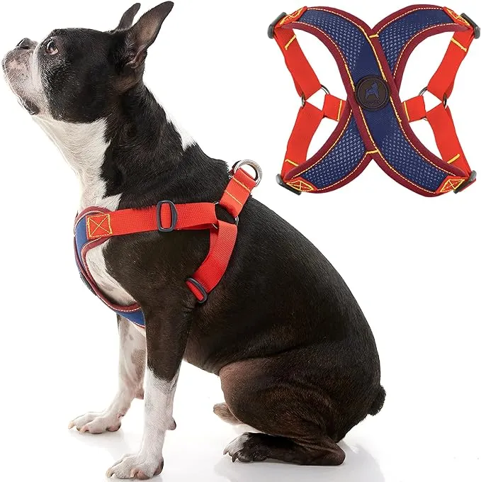 Gooby Comfort X Head In\u200e  Dog Harness - Blue/ Red Size Large