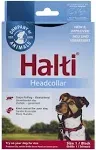 Halti Headcollar For Dogs Size 1 Black 12-15.5&#034; Halti Head Collar Stops Pulling