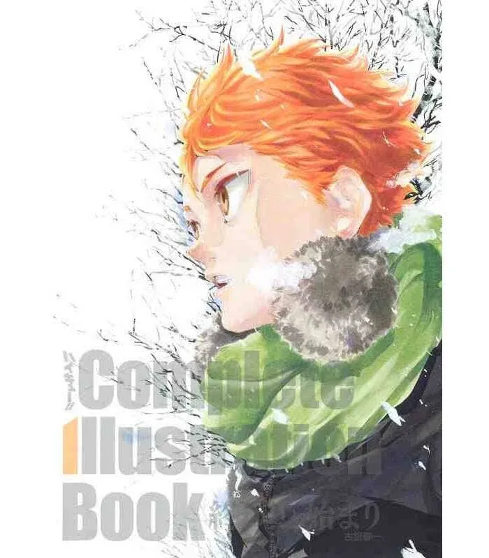 Haikyu Complete Illustrations Artbook