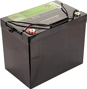 Interstate Batteries 12V 75Ah Deep Cycle Mobility Battery Group 24 VRLA SLA AGM (Insert Terminal) Rechargeable Replacement for Wheelchairs, Scooters, Medical Devices, Sump Pumps (DCM0075)