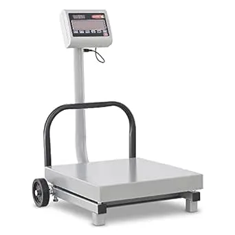 TORREY FS250/500 Digital Receiving Scale, Rechargeable Battery, Robust Steel Construction, Toggles between kg and pounds, 250 kg/500 lb, Gray