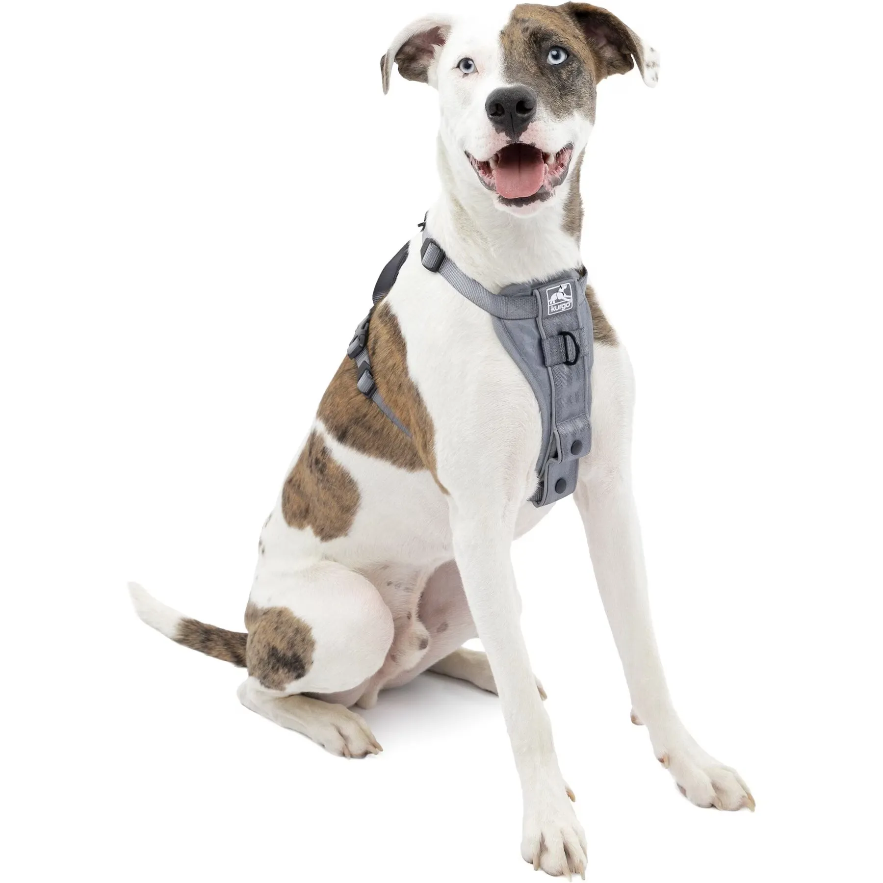 Kurgo Tru-Fit Quick Release & Seatbelt Tether Smart Dog Harness