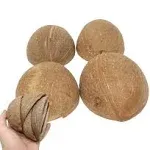 Bonka Bird Toys Half Shell Coconuts