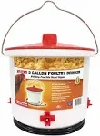 Farm Innovators Heated 2-Gallon Poultry Water Drinker