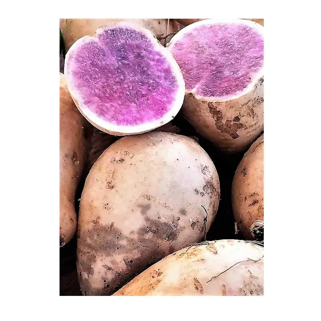 Okinawan Hawaiian Purple Sweet Potatoes 3 lbs.