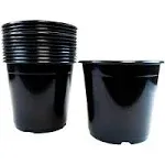 Viagrow 1 gal. Black Plastic Nursery Pots (12-Pack)