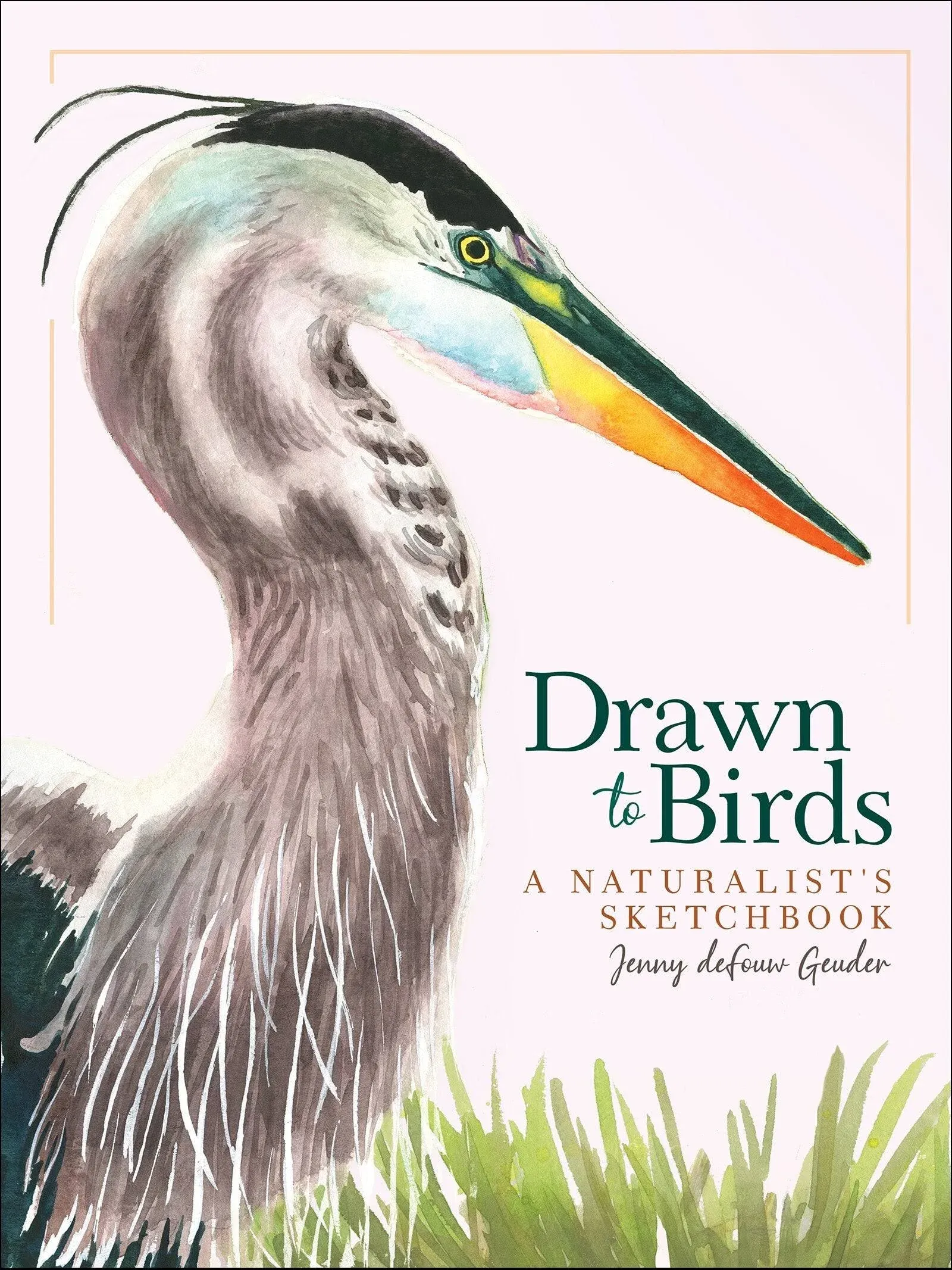 Drawn to Birds: A Naturalist's Sketchbook [Book]