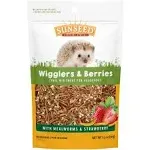 Sunseed Vita Prima Wigglers & Berries Hedgehog Treat - Mealworms for Hedgehogs - Small Animal Trail Mix Snack