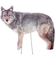 Coyote, 2-D,4 lb.,Coraplast