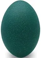 Uniquely Emu Emu Eggshell - Grade B