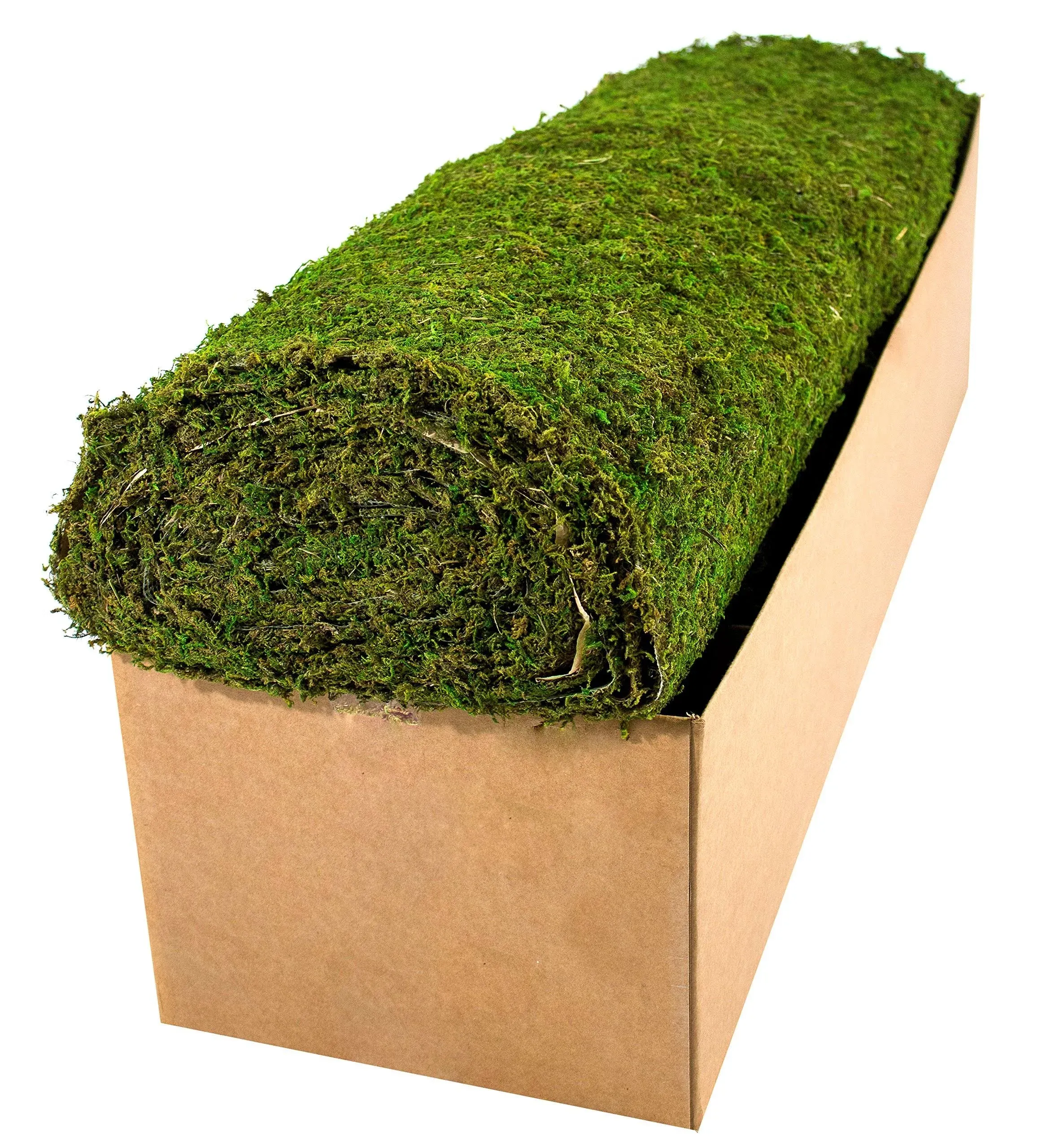 SuperMoss Instant Green Mountain Moss Mat