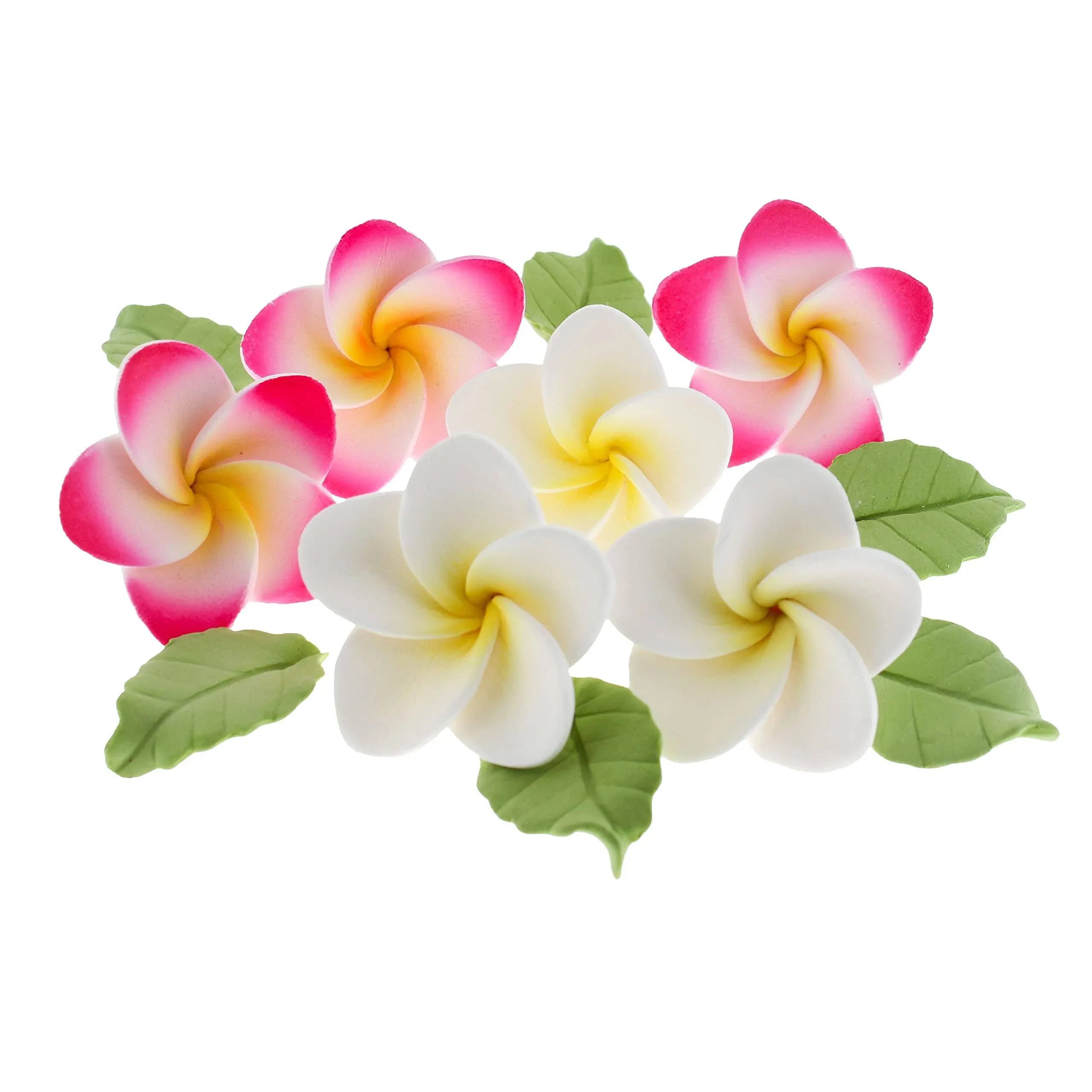 Global Sugar Art Tropical Frangipani Plumeria Edible Sugar Flower Blossoms, Wedding Cake & Cupcake Flowers with Leaves, 24 Count by Count by Chef Alan Tetreault