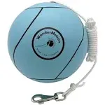 Revive Wonder WonderMotion Soft Tetherball Ball and Rope w/ 360° Kinkless Swivel Hook | School or Backyard Tetherball Set | Light Aquamarine | Soft TE