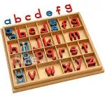 Elite Montessori Wooden Movable Alphabet with Box Preschool Spelling Learning Materials