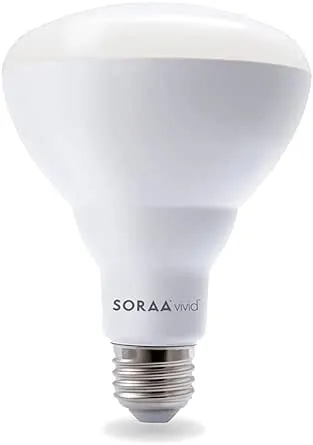 SORAA Vivid BR30 Dimmable 2700K Light Bulb