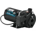 Wayne CWS75 - 3/4 HP Cast Iron Convertible Well Jet Pump