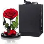 Preserved Rose Red Rose in Glass Dome Real Roses Preserved Flowers, Valentine...